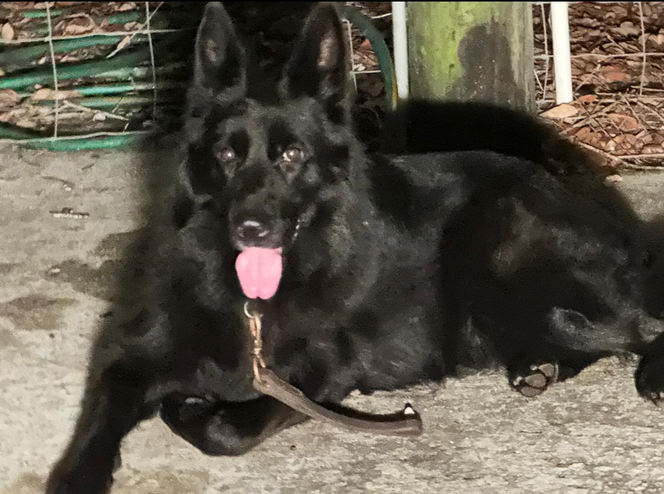 Doxa Noster Amicus Photo